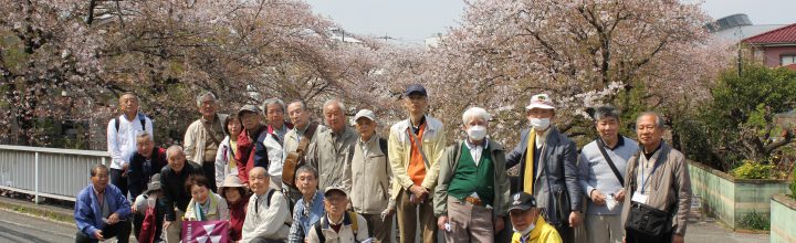 2023年 4月 5日　KDSウォーキング（恩田川沿いの桜道散策）の実施報告