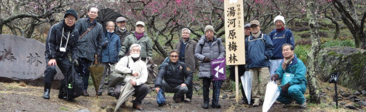 2018年 3月 8日　アラフォー会（湯河原梅林）実施報告