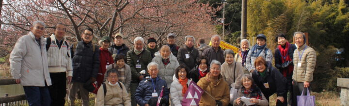 2025年2月18日　第268回　神奈川同志社歩く会（三浦海岸駅周辺の河津桜＆小網代の森）実施報告